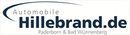 Logo Automobile Hillebrand GmbH & Co. KG